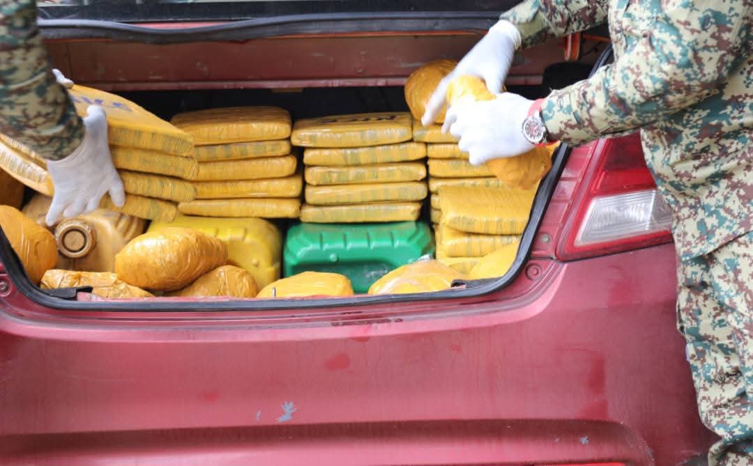 L'importante quantité de cannabis saisie. (Ph. DR)