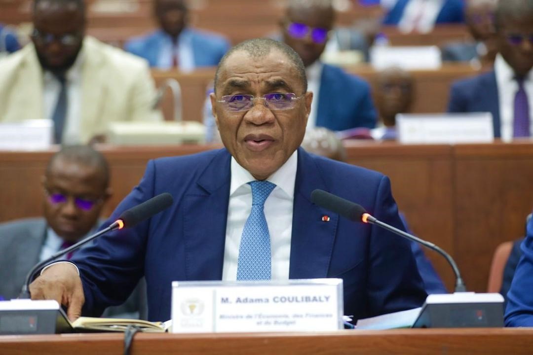 Adama Coulibaly a expliqué le Dpbef aux sénateurs. 