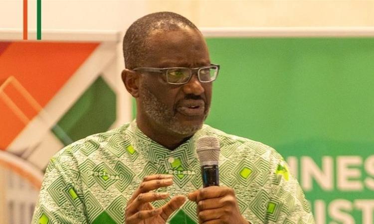 Le parti de Tidjane Thiam n’a pas été tendre avec le pouvoir Rhdp. 