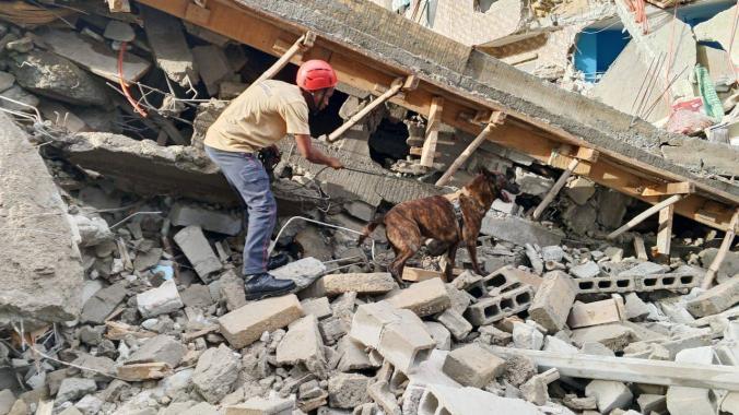 Les secours ont bénéficié de l’appui de chien renifleur pour retrouver les corps enfouis sous les décombres (Ph : DR)